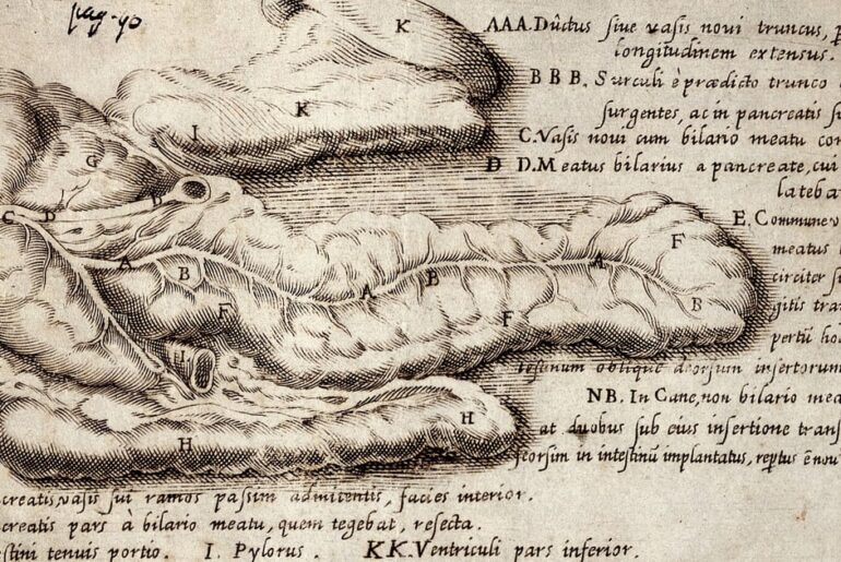 mRNA therapy thwarts pancreatic tumor immune evasion