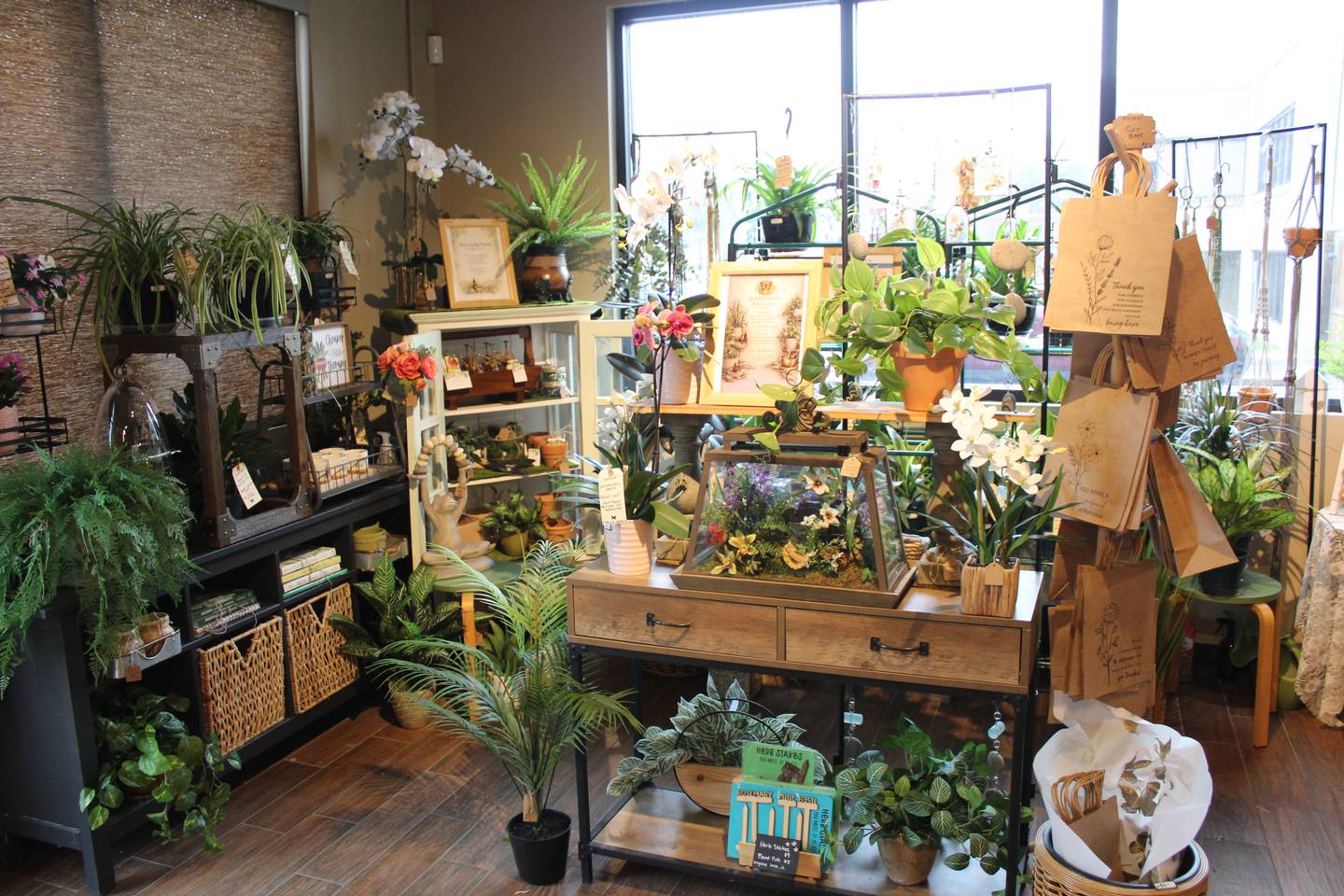 The new Cary Apothecary location, at 20 E. Main St., features an expanded retail section and two private rooms for massage and wellness therapy sessions.