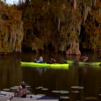 Tourists capture sunrise beauty in Louisiana swamps