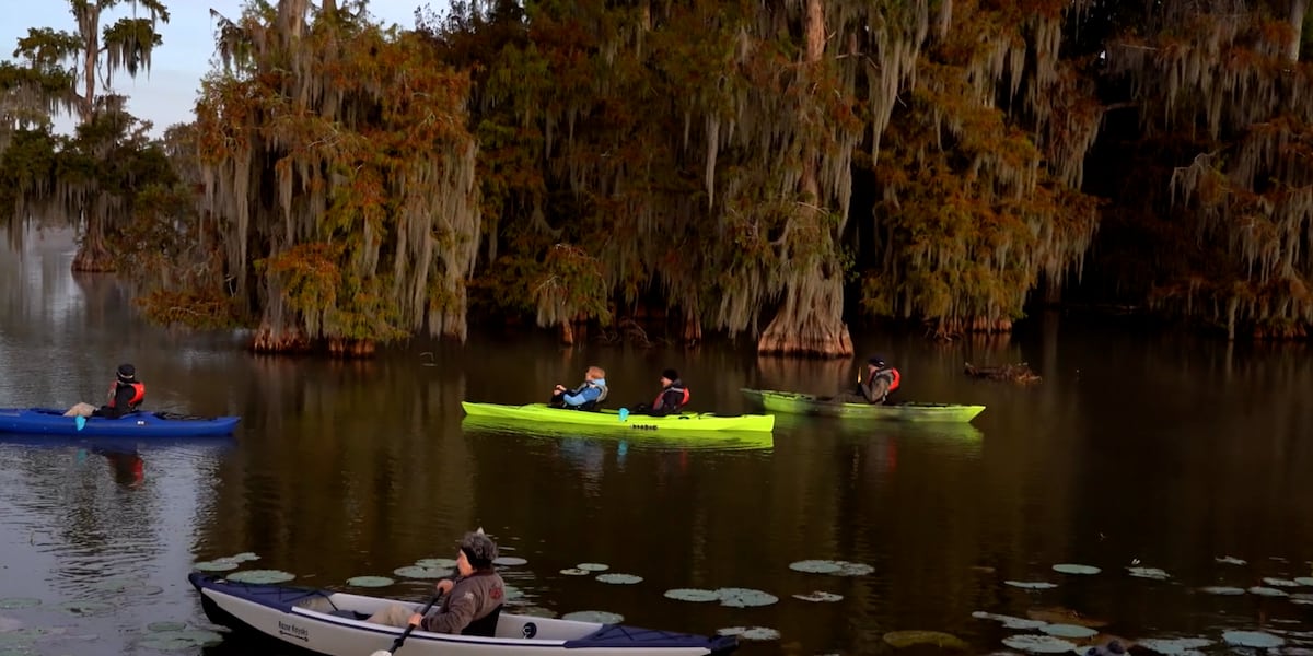 Tourists capture sunrise beauty in Louisiana swamps