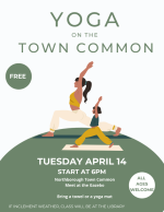 Yoga on Town common
