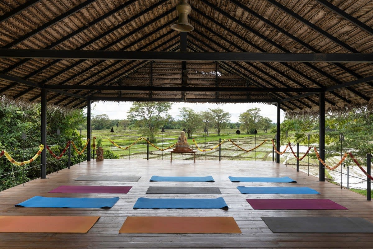 The open-sided yoga studio at Ayurvie Sigiriya in Sri Lanka overlooks the rice paddies (Ayurvie Sigiriya)