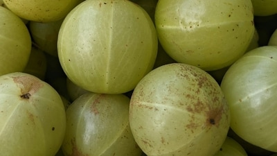 Amla is packed with vitamin C. (Unsplash)