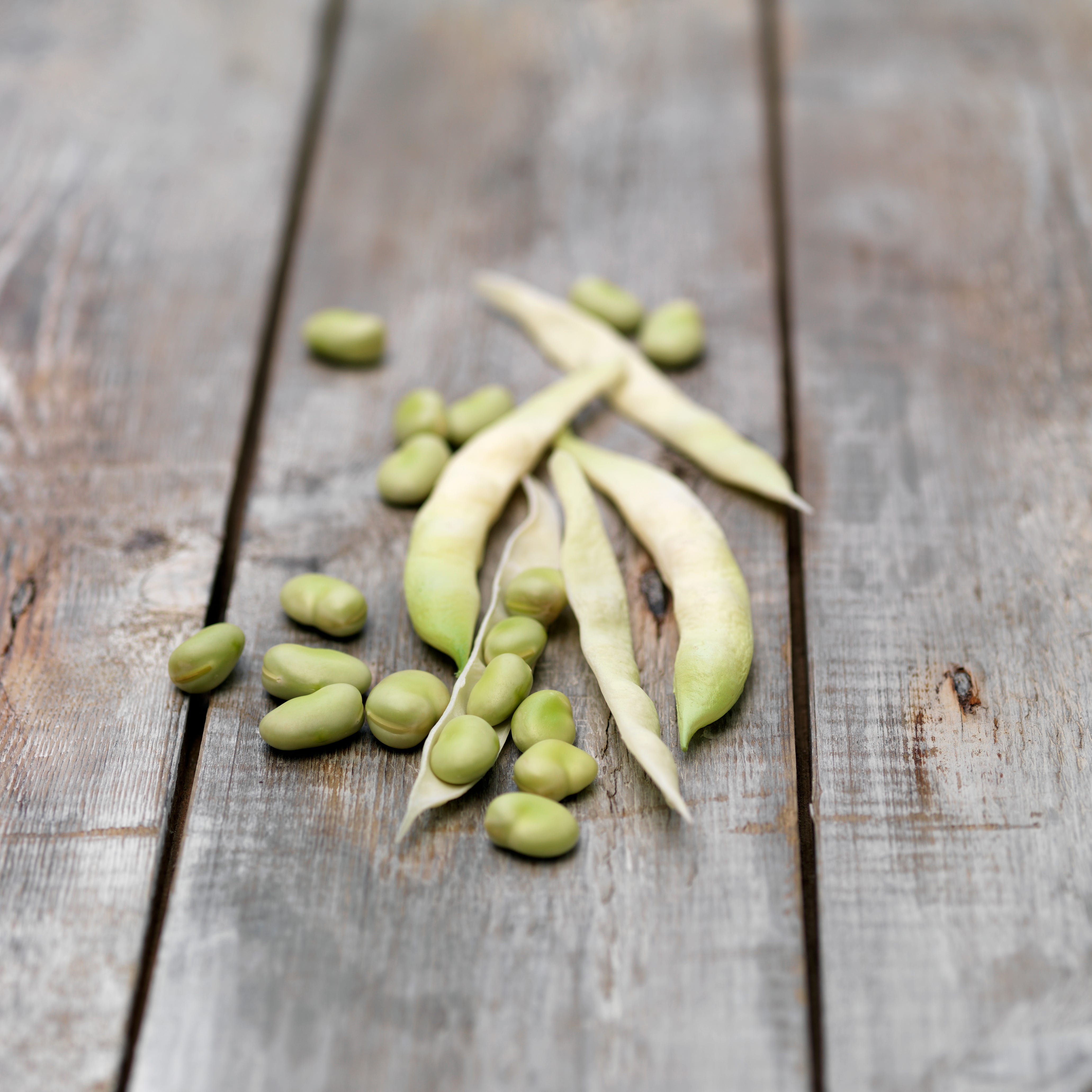 Still life of lima Beans (also known as butter beans) on wooden table
