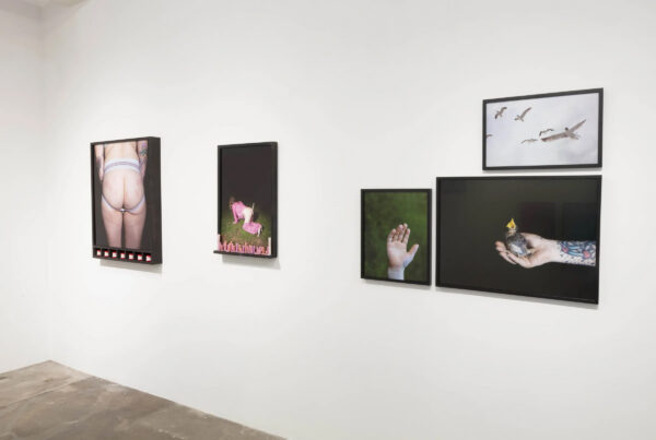 An installation image of five photographs by Emily Peacock.