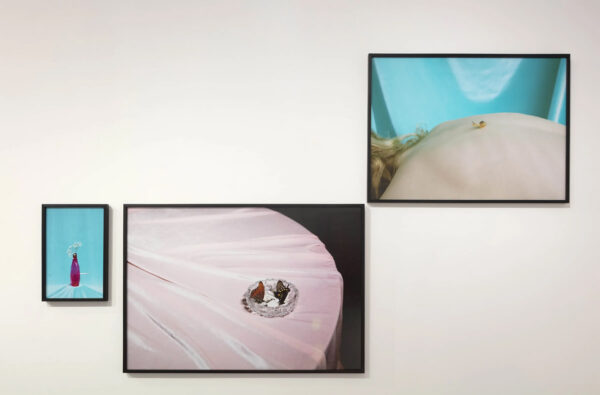 An installation image of three photographs by Emily Peacock.