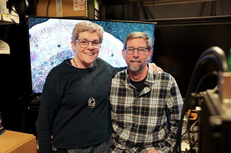 Cathy Galbraith, Ph.D., and Jim Galbraith, Ph.D., have a new study showing for the first time that cells create targeted streams of fluid to push proteins where they need to go. (CREDIT: OHSU/Christine Torres Hicks)