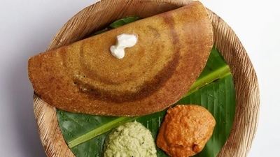 Celebrity trainer Siddhartha Singh advises adding crushed paneer to dosa for a weight-loss-friendly meal. (Freepik)