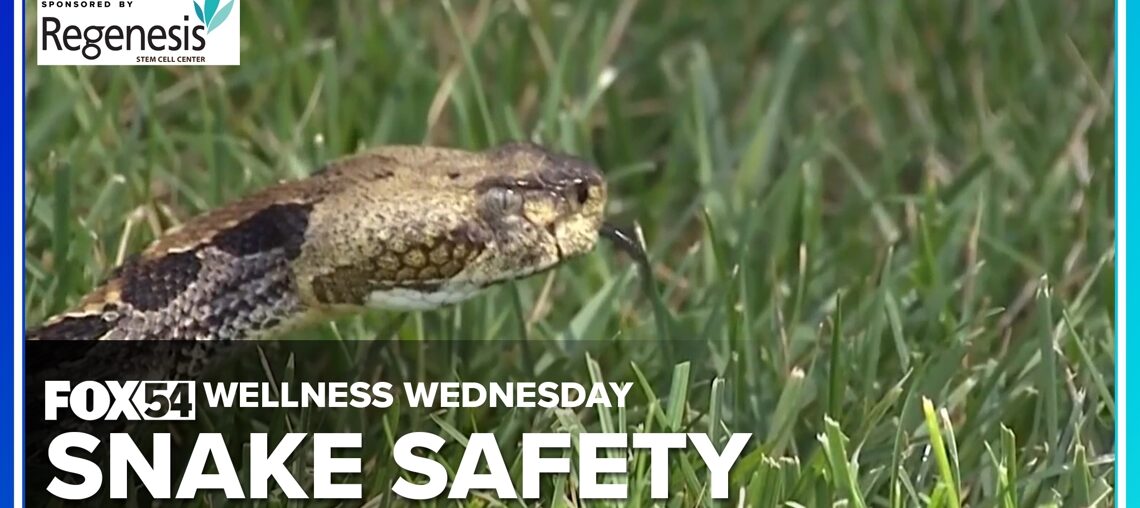 Wellness Wednesday: Staying Safe in Snake Season