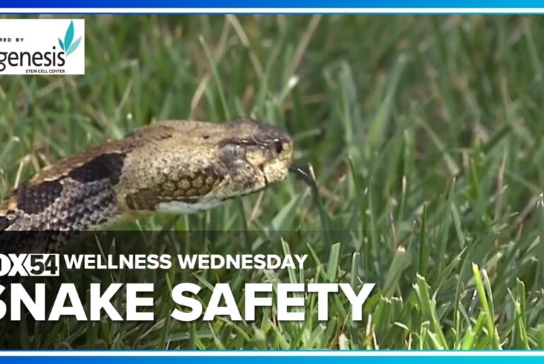Wellness Wednesday: Staying Safe in Snake Season