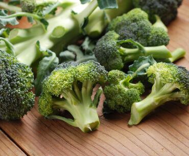 Eat less cheese, healthy food agency tells the Dutch