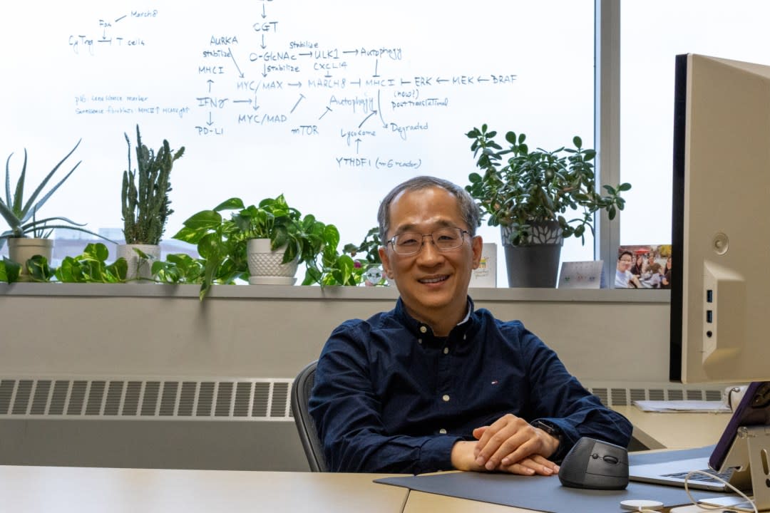 Dohun Pyeon is a professor in Michigan State University's Department of Microbiology, Genetics & Immunology. (Courtesy MSU College of Human Medicine)