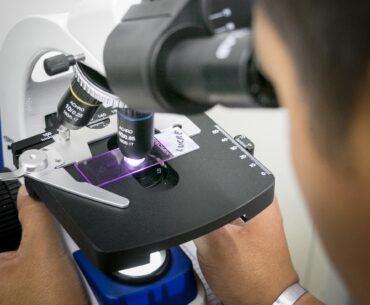 Polarized Immune Cells Inhibit Treatment Efficacy in Pancreatic Cancer