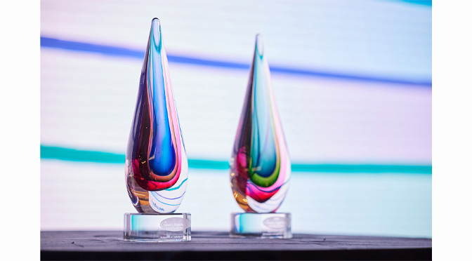 St. Luke’s University Health Network Honored with Richard L. Doyle Award for Innovative Care Planning