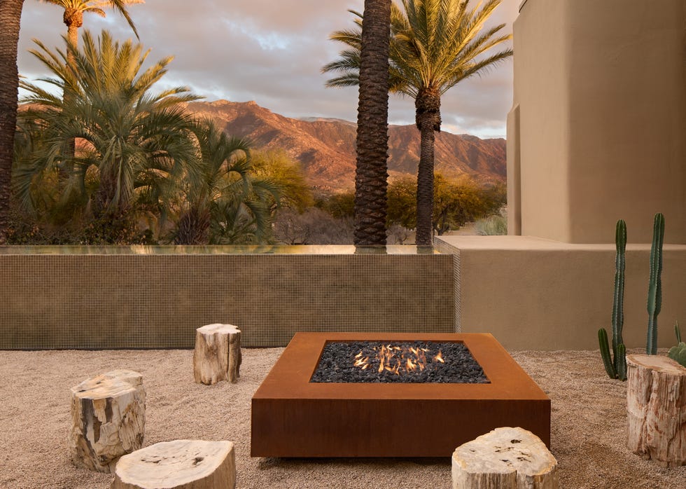 Outdoor seating area with a fire pit and palm trees.