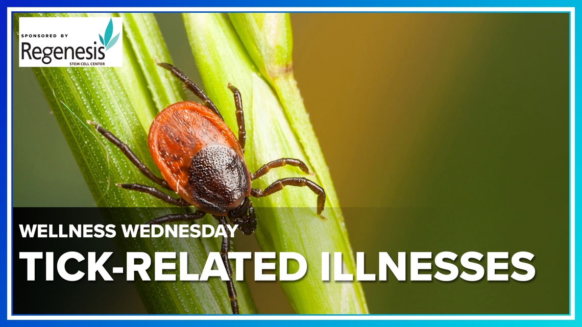 Wellness Wednesday