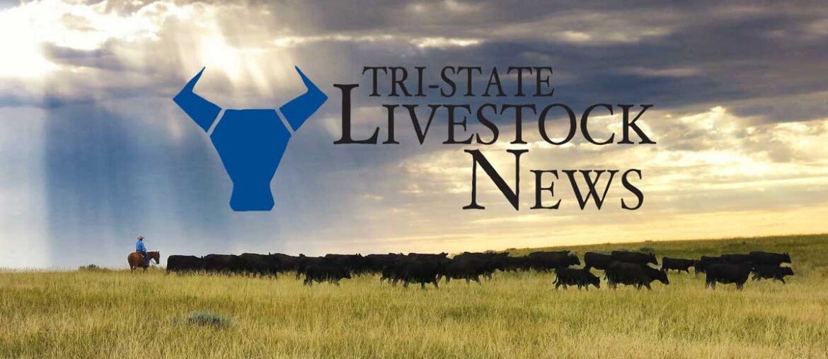 Montana State University Extension to co-host Montana Nutrition Conference and Livestock Forum April 15-16 in Bozeman