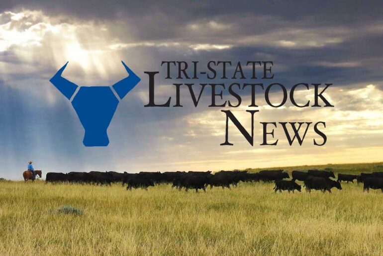 Montana State University Extension to co-host Montana Nutrition Conference and Livestock Forum April 15-16 in Bozeman