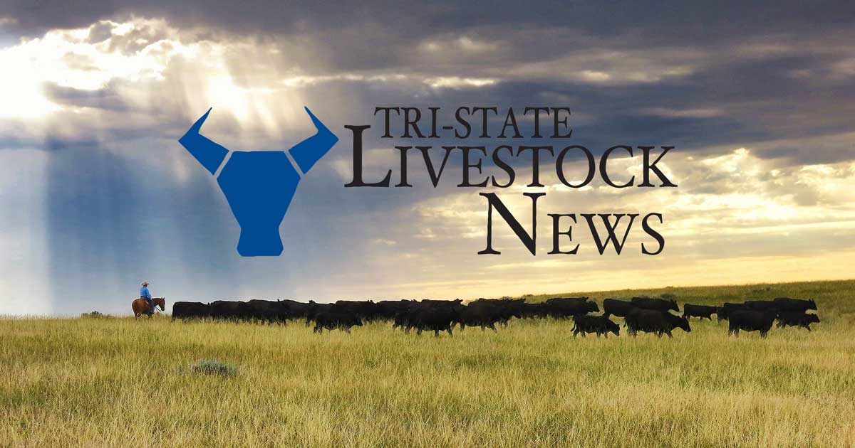 Montana State University Extension to co-host Montana Nutrition Conference and Livestock Forum April 15-16 in Bozeman
