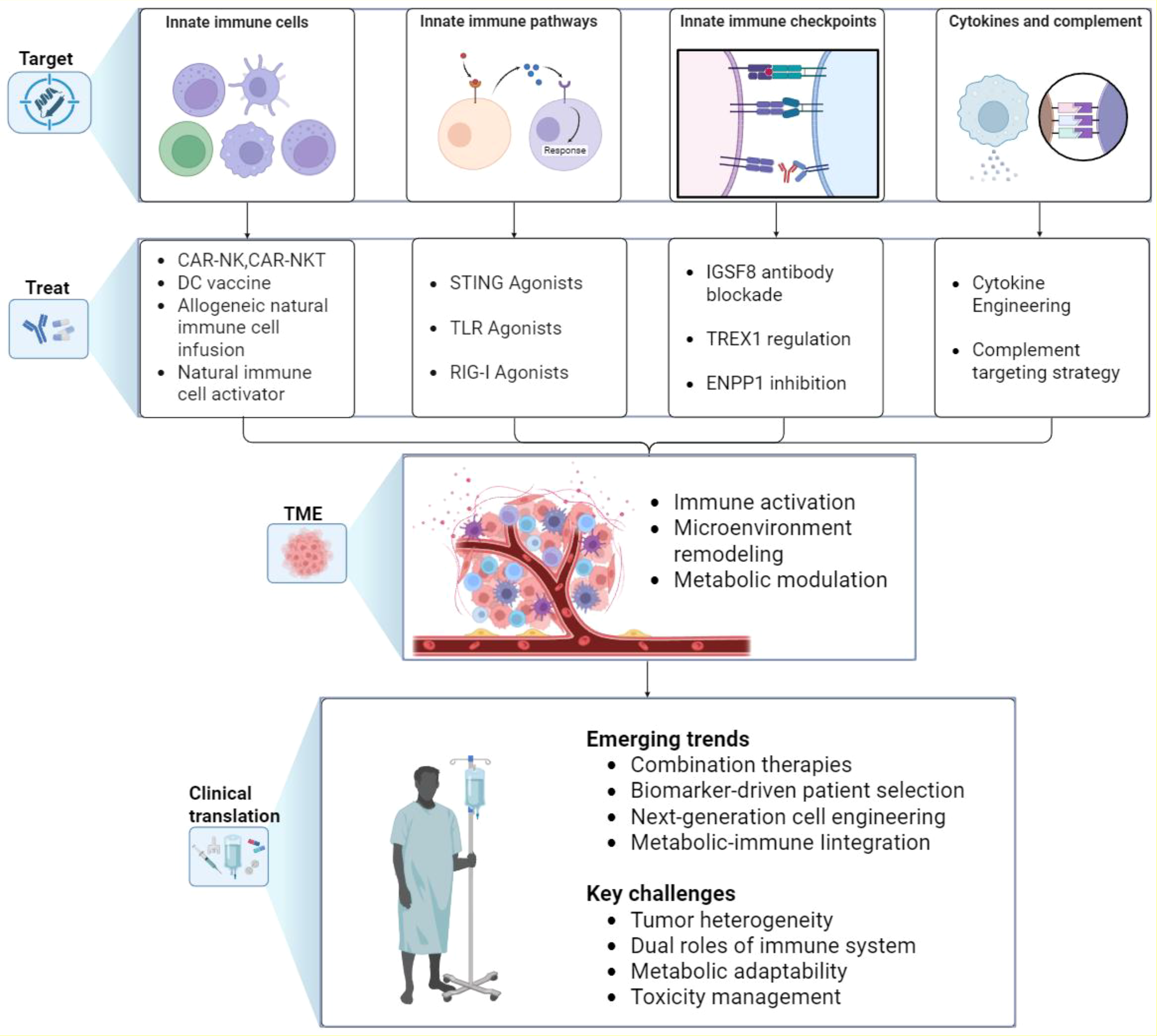 Diagram showing strategies for targeting immune responses in cancer treatment. At the top are categories: innate immune cells, pathways, checkpoints, cytokines, and complement. Treatments include CAR-NK, vaccines, and agonists. Middle section highlights tumor microenvironment strategies like immune activation. Bottom discusses clinical translation, emerging trends, and key challenges such as toxicity management and tumor heterogeneity.
