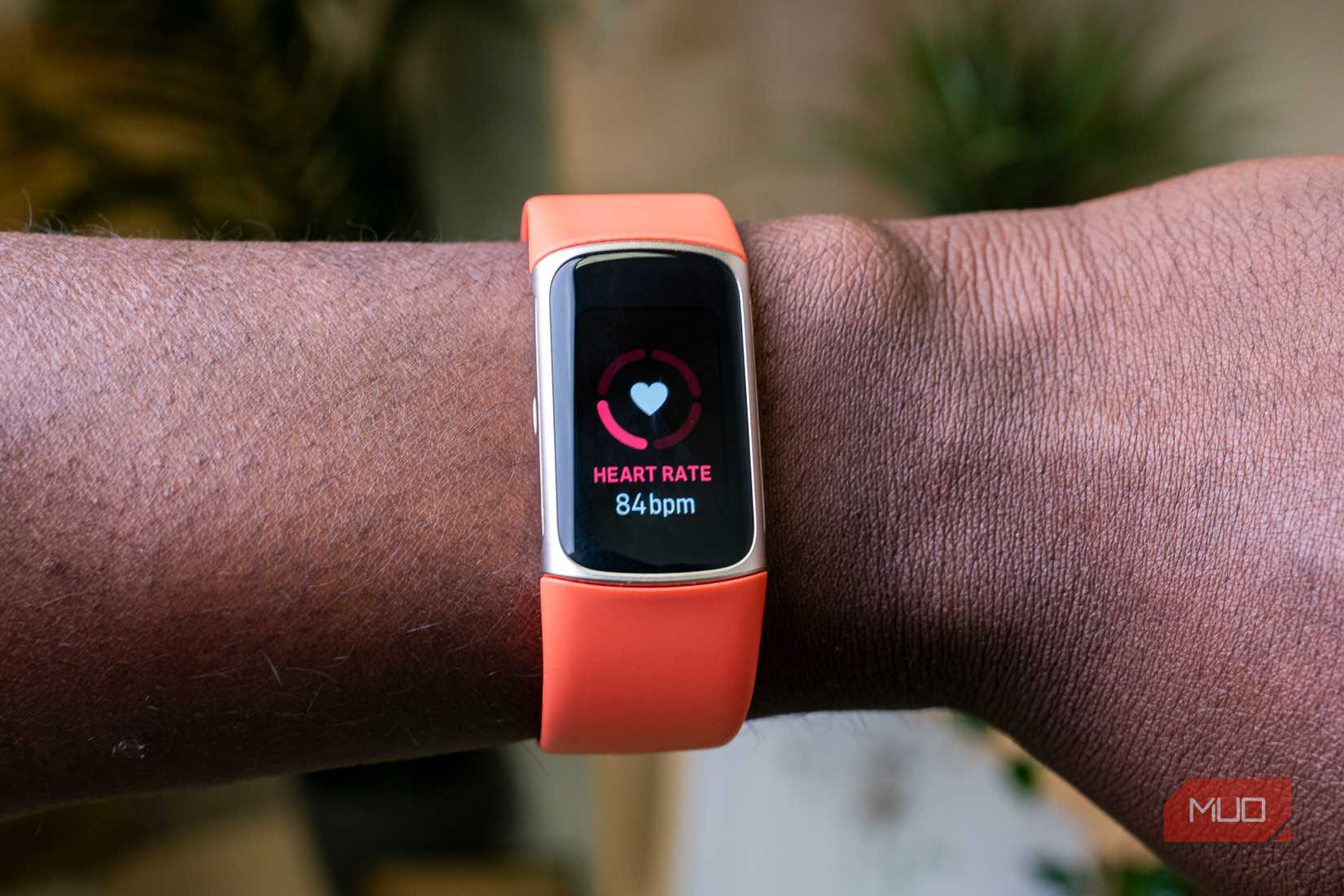 Fitness information heart rate on the Fitbit Charge 6  on arm
