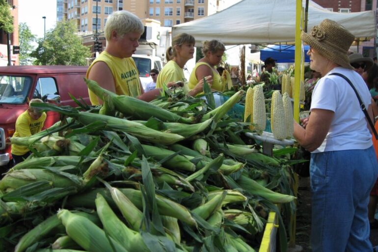 How to sustain an eco-friendly diet