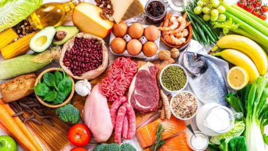 diets today are increasingly protein-heavy, often without accounting for individual needs or environmental factors like heat.