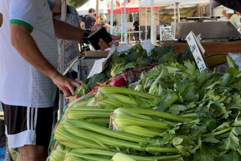 INSERT STORY HEADLINE HERE