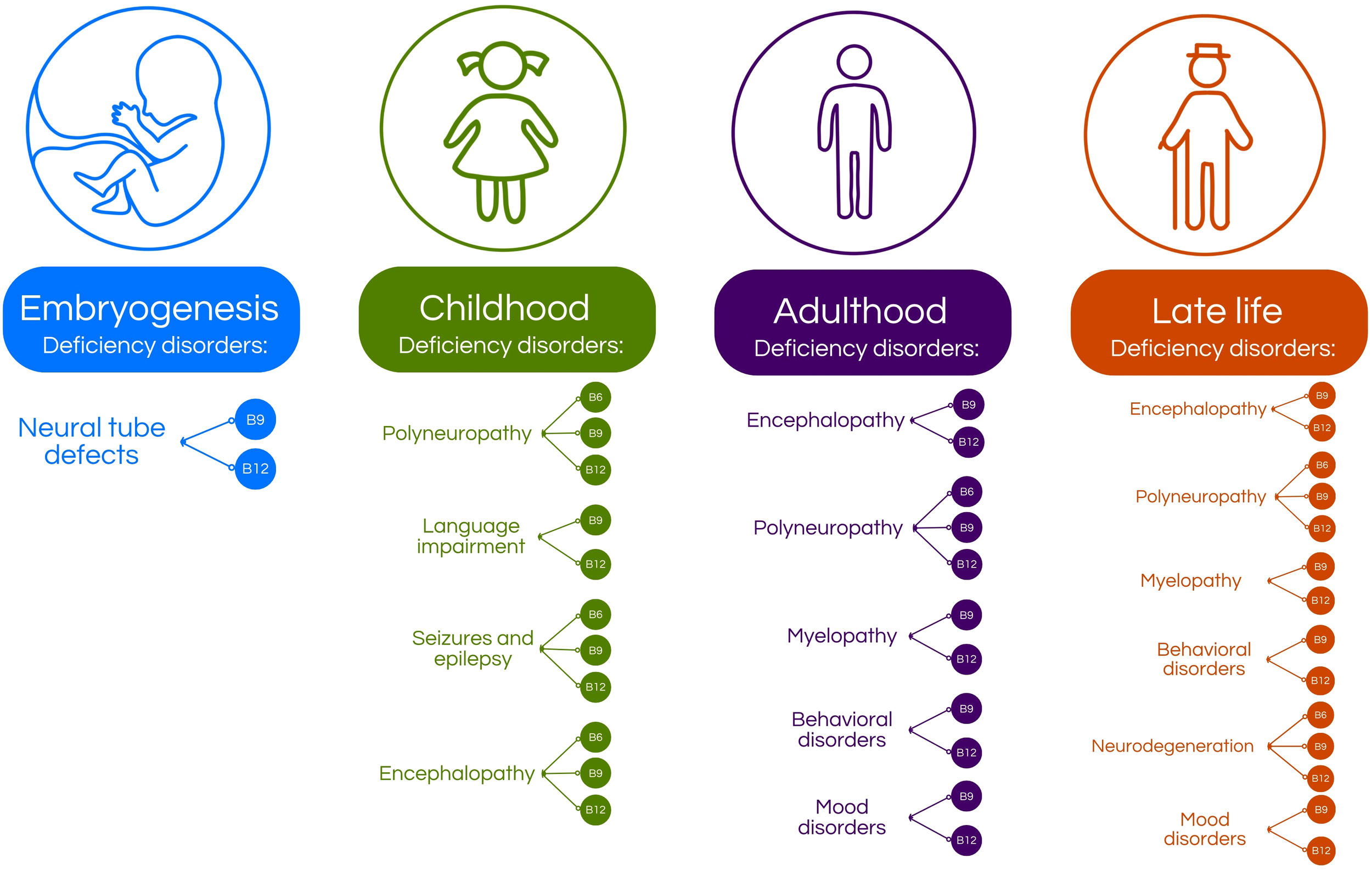 Chart illustrating vitamin deficiency disorders across life stages. Embryogenesis: Neural tube defects linked to B9 and B12 deficiencies. Childhood: Polyneuropathy, language impairment, seizures, epilepsy, and encephalopathy linked to B6, B9, B12. Adulthood: Encephalopathy, polyneuropathy, myelopathy, behavioral, and mood disorders linked to B6, B9, B12. Late life: Encephalopathy, polyneuropathy, myelopathy, behavioral disorders, neurodegeneration, and mood disorders linked to B6, B9, B12.