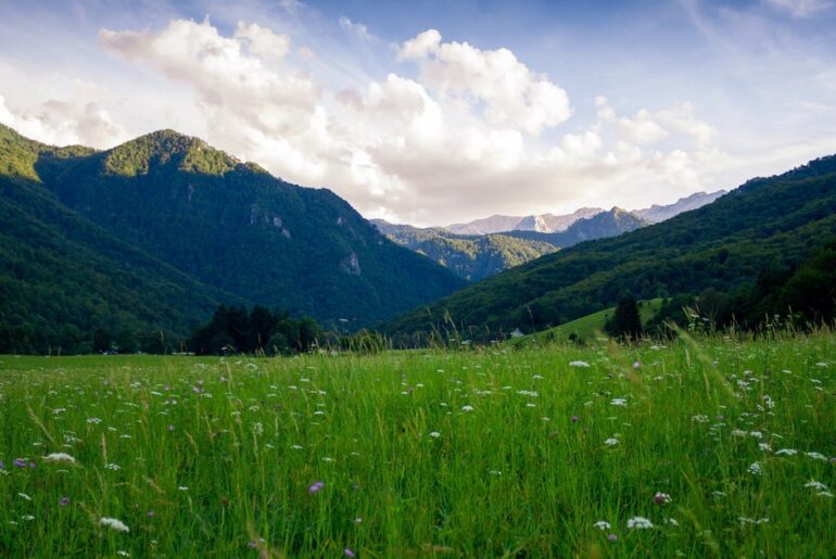 THE BEAUTY OF SPRING: A BIOLOGICAL PERSPECTIVE