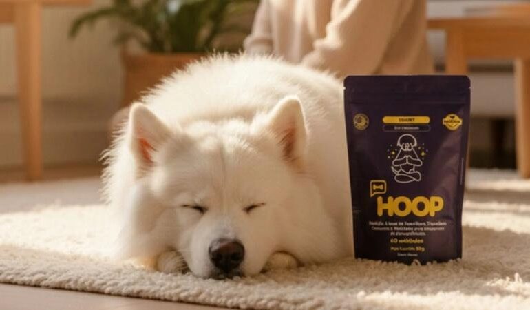 HOOP launches in Brazil with natural pet supplements and bets on functional care focused on prevention and longevity