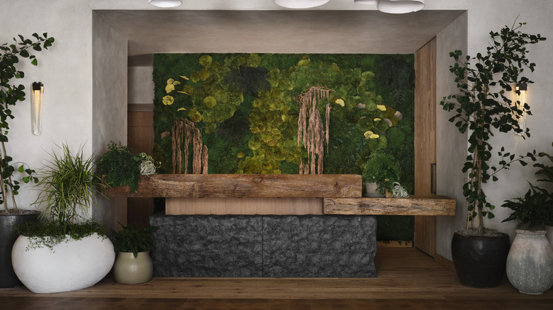 Front desk at 1 Hotel San Francisco with a green wall behind it