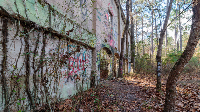 Abandoned Aldridge Sawmill covered in graffiti in the Angelina National Forest of East Texas