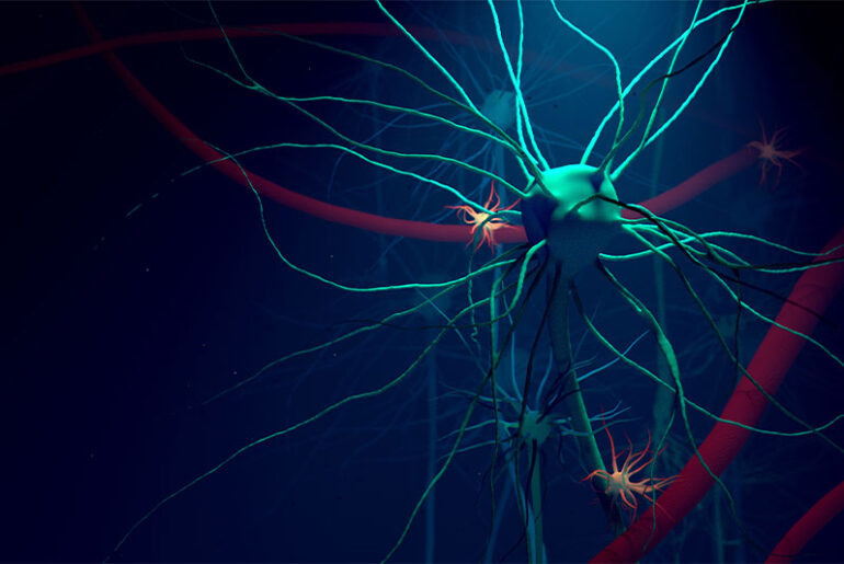 Lysoveta study shows brain delivery of EPA and DHA