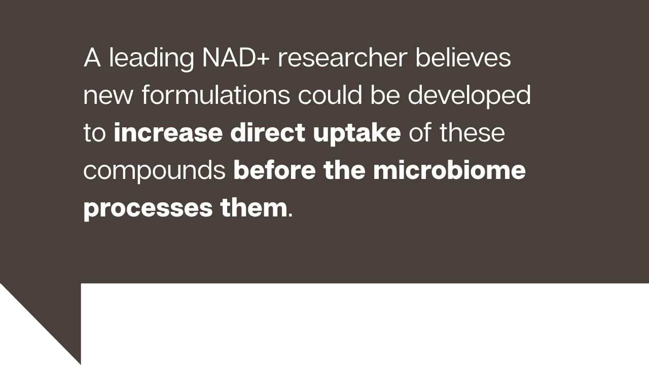 nad-plus-research-quote.jpg