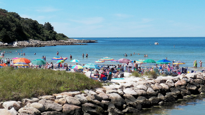 sunbathers at the beach in Falmouth, Massachusetts