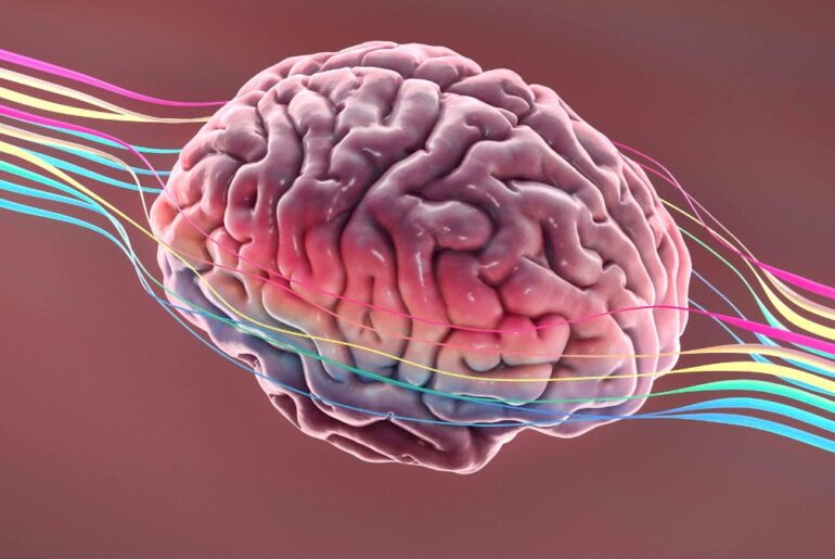 People documented with dementia have 3-5 times higher concentrations of microplastics and nanoplastics (MNPs) than normal individuals.