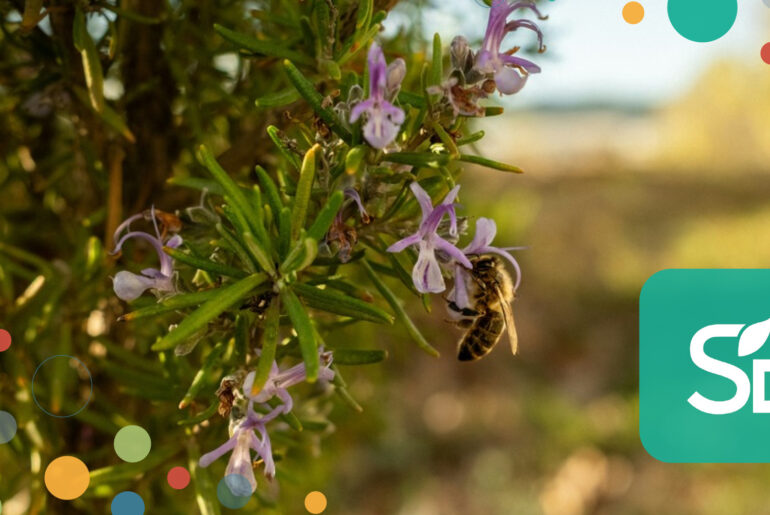 How Davines Inspires Beauty from the Ground Up