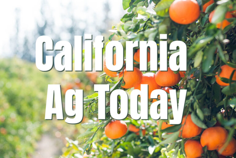 The 2026 School Nutrition Snapshot