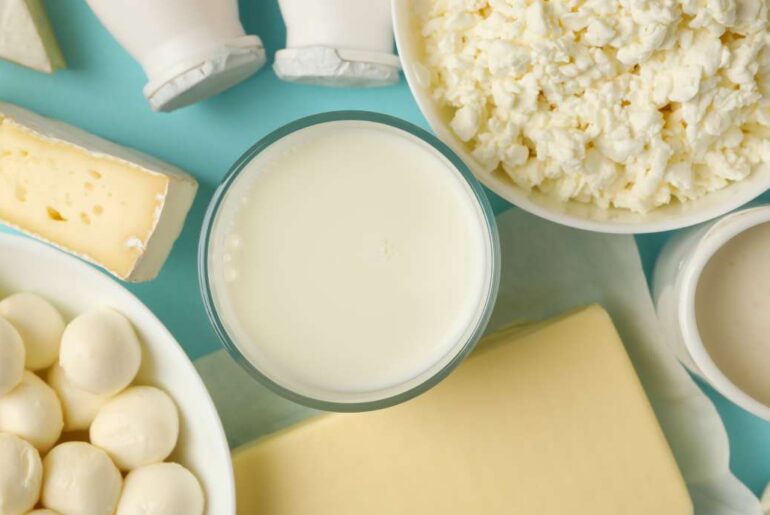 The protein-plus advantage: Why dairy foods are a smart, nutrient-rich choice