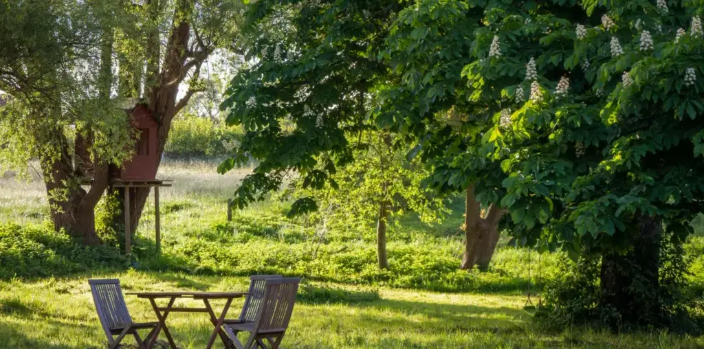 Wellness Yards Enhance Property Values