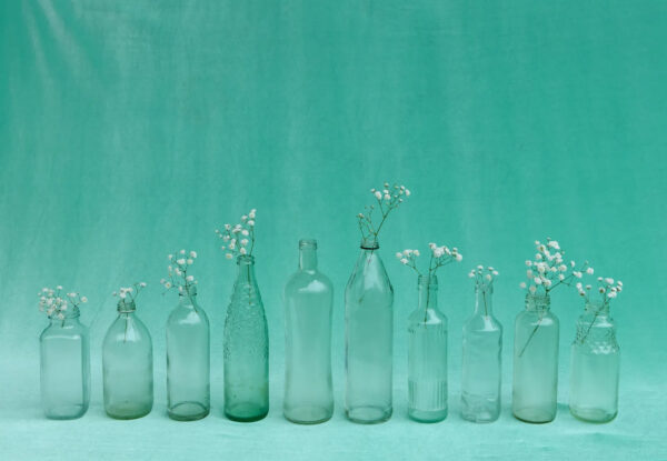 A photograph by Emily Peacock of a dozen glass bottles, all but one have a small sprig of baby's breath placed in the bottle's opening.