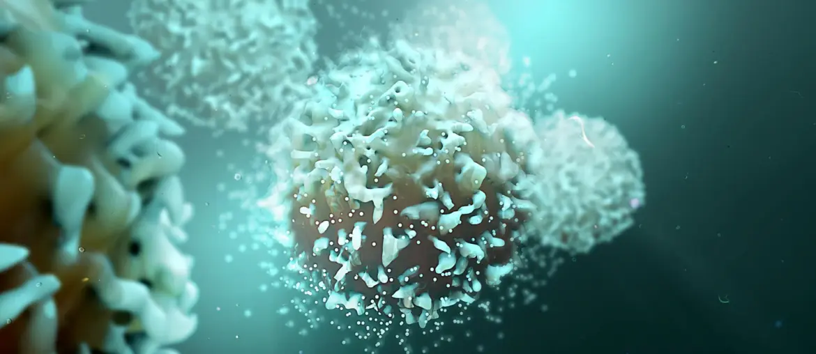 Blocking a single protein supercharges the immune system against cancer