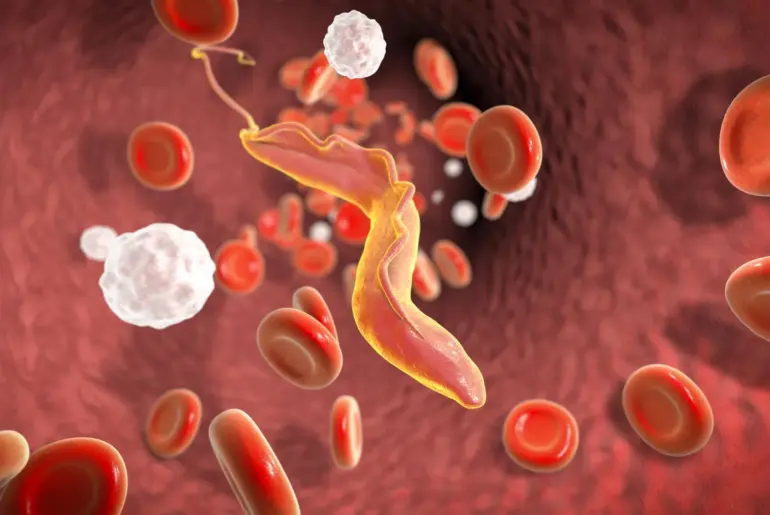 Scientists discover “molecular shredder” that helps deadly parasite evade the immune system