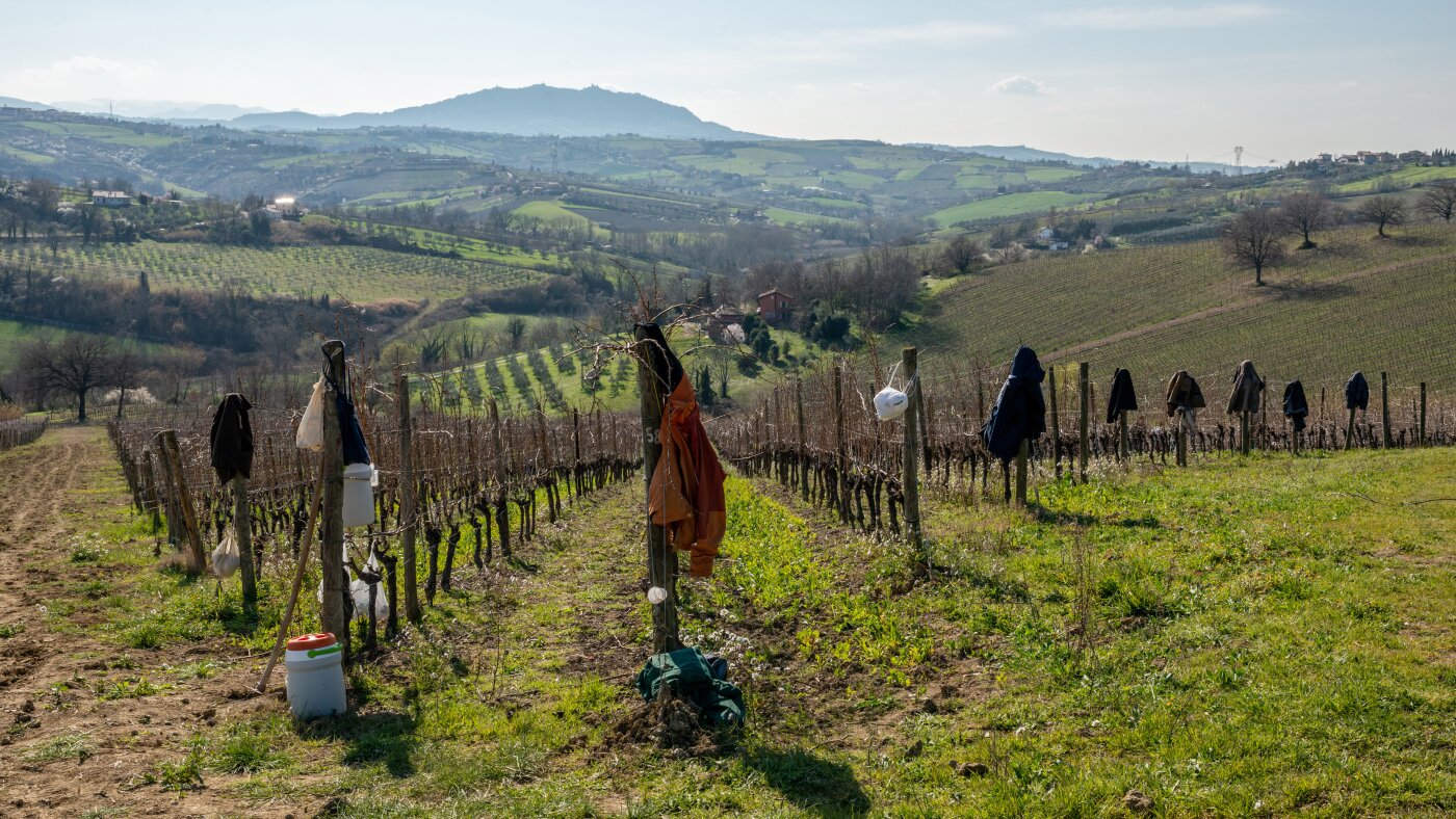 RFK Jr. wants to treat addiction on farms, without medication : NPR