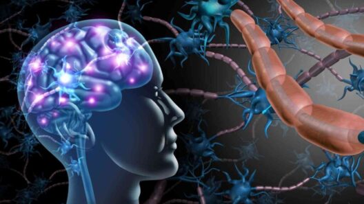 Higher vitamin D tied to lower Alzheimer’s-related brain changes