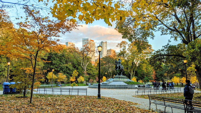 Queens Park Toronto on a leafy fall day