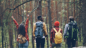 Why Wellness Tourism Is Becoming a Priority for Affluent Travelers