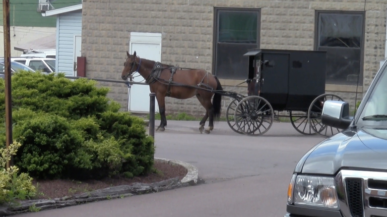A horse and buggy are parked in downtown Meyersdale