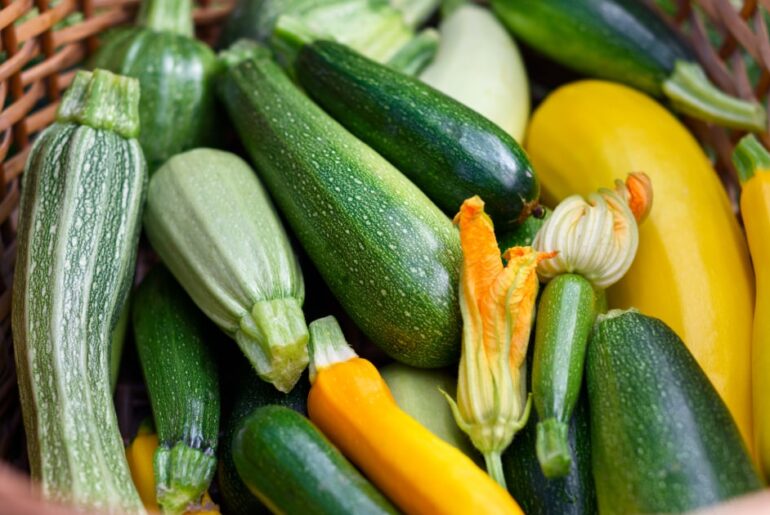 The Difference Between Zucchini Vs. Summer Squash, According to Dietitian